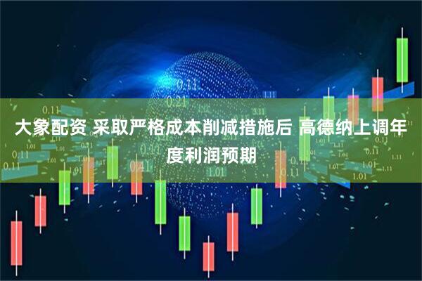 大象配资 采取严格成本削减措施后 高德纳上调年度利润预期