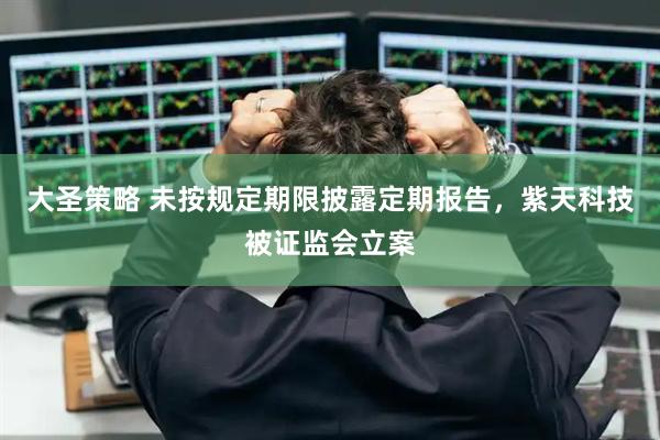 大圣策略 未按规定期限披露定期报告，紫天科技被证监会立案