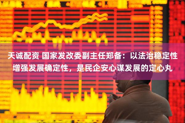 天诚配资 国家发改委副主任郑备：以法治稳定性增强发展确定性，是民企安心谋发展的定心丸