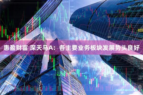 惠盈财富 深天马A：各主要业务板块发展势头良好