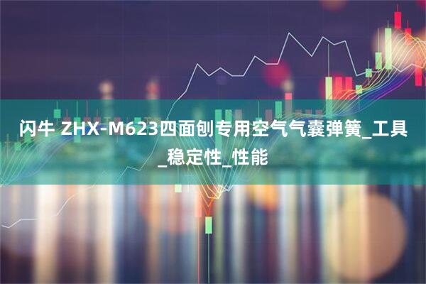 闪牛 ZHX-M623四面刨专用空气气囊弹簧_工具_稳定性_性能