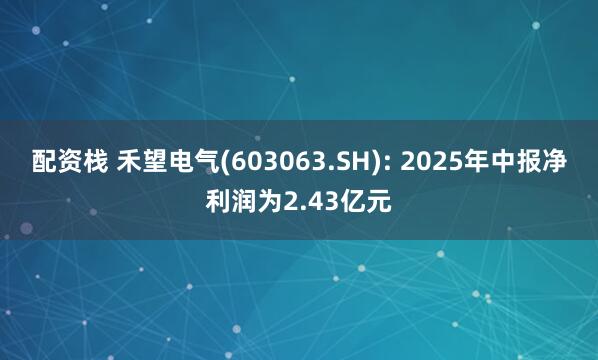 配资栈 禾望电气(603063.SH): 2025年中报净利润为2.43亿元