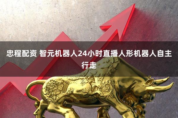 忠程配资 智元机器人24小时直播人形机器人自主行走