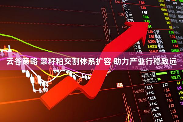 云谷策略 菜籽粕交割体系扩容 助力产业行稳致远