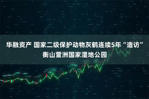 华融资产 国家二级保护动物灰鹤连续5年“造访”衡山萱洲国家湿地公园