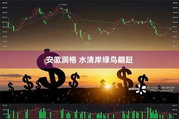 安徽润格 水清岸绿鸟翩跹