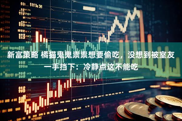 新富策略 橘猫鬼鬼祟祟想要偷吃，没想到被室友一手挡下：冷静点这不能吃