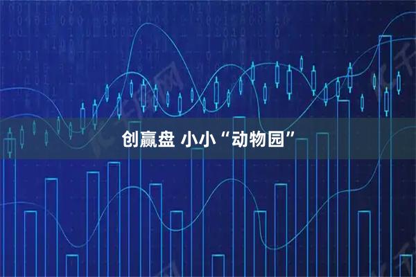 创赢盘 小小“动物园”