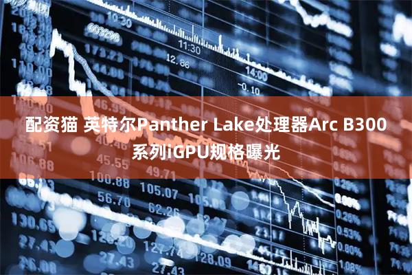配资猫 英特尔Panther Lake处理器Arc B300系列iGPU规格曝光