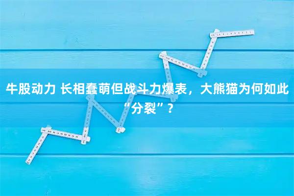 牛股动力 长相蠢萌但战斗力爆表，大熊猫为何如此“分裂”？