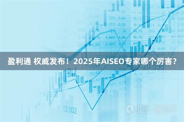 盈利通 权威发布!2025年AISEO专家哪个厉害?