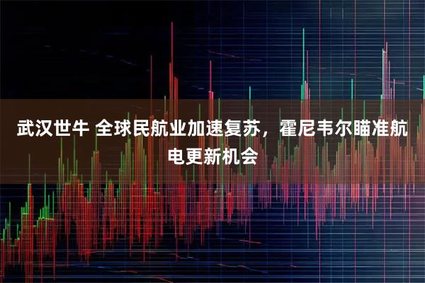 武汉世牛 全球民航业加速复苏,霍尼韦尔瞄准航电更新机会
